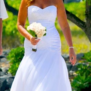Wedding Dress mermaid style-David’s Bridal